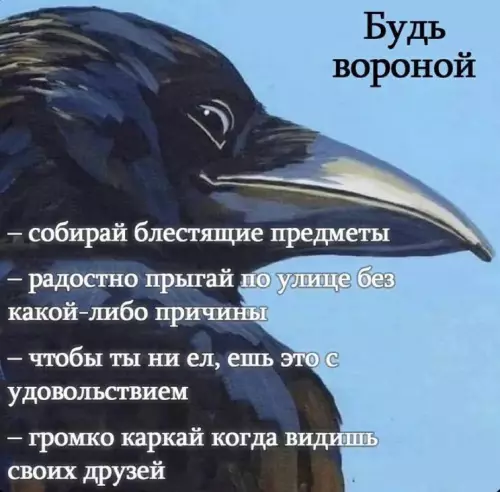 Будь вороны: веселые советы