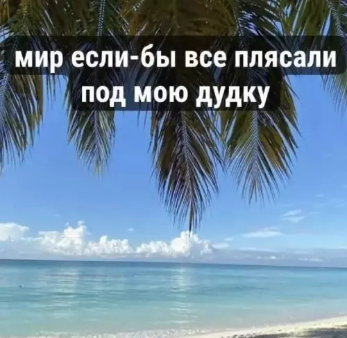 Мир в стиле твоего вайба 🌴✨ - мир если-бы все плясали под мою дудку