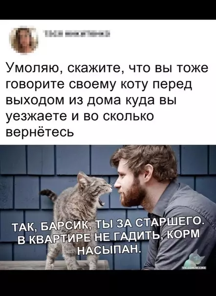 Смешная картинка №370559