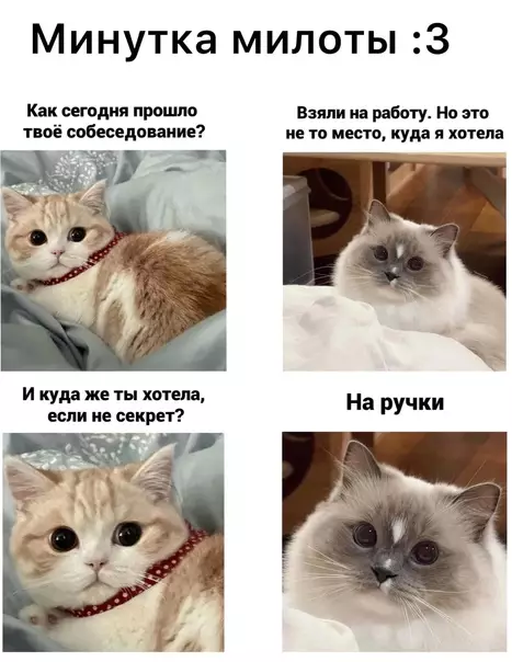 Смешная картинка №586338