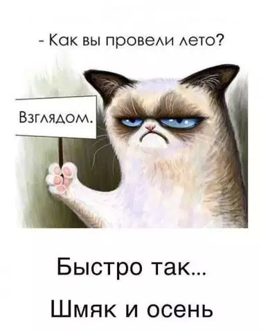 Смешная картинка №383111