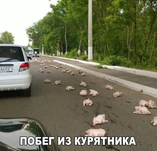 Смешная картинка №177215