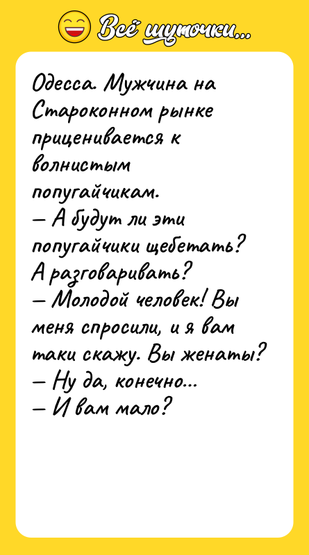Одесса. Мужчина на Староконном рынке приценивается к волнистым попугайчикам.