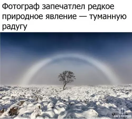 Смешная картинка №184816