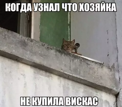Смешная картинка №173648