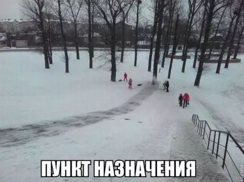 Смешная картинка №244620