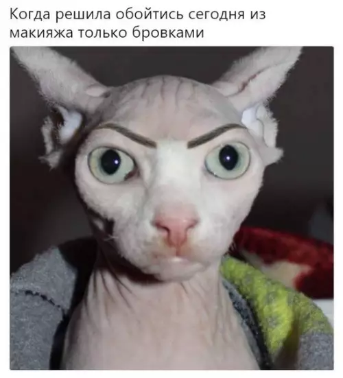 Смешная картинка №231465