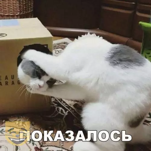 Смешная картинка №337089 #приколы #картинки #мемы ?