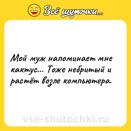 Шутка: Мой муж напоминает мне кактус... Тоже небритый и растёт возле компьютера.