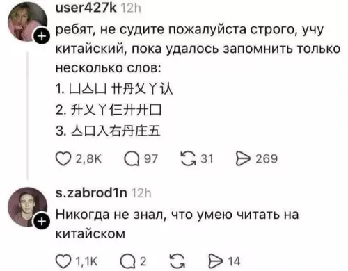 Китайский уровень: Бог 🇨🇳🤣 - ребят, не судите пожалуйста строго, учу китайский, пока удалось запомнить