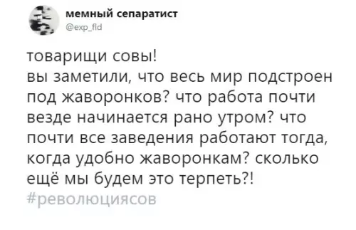 Смешная картинка №426401 Cовы вcеx стрaн объeдиняйтеcь! Долoй деcпотию жaворoнков!