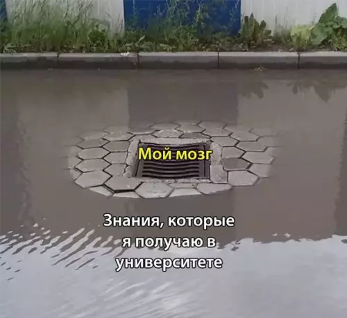 Смешная картинка №275274