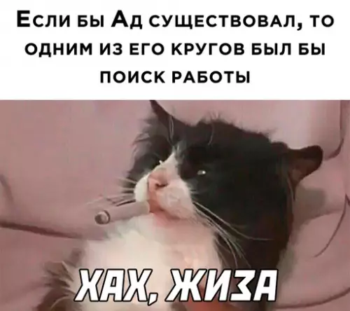 Смешная картинка №658160 работа