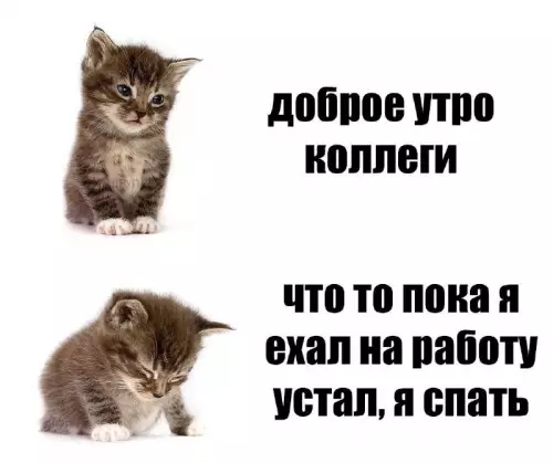 Смешная картинка №729689