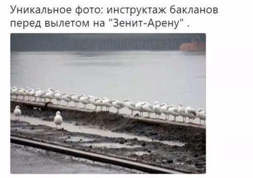 Смешная картинка №207470