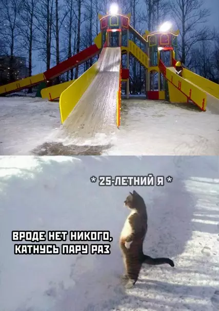 Смешная картинка №545324 Слишком жизненно.