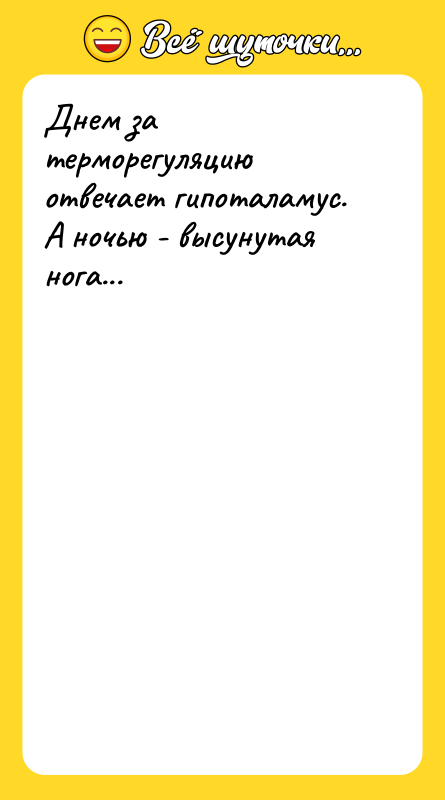 Днем за терморегуляцию отвечает гипоталамус. А ночью - высунутая нога...