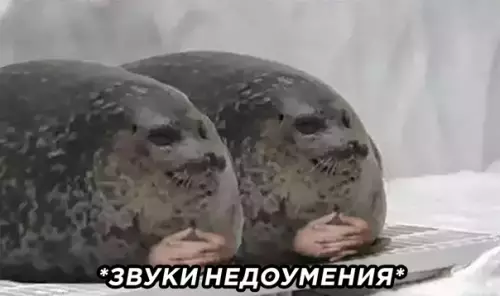 продолжение Смешная картинка №579775