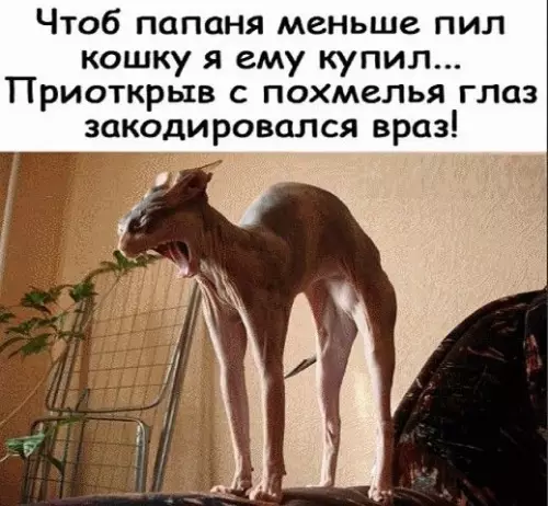 Смешная картинка №390330