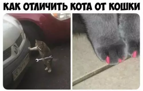 Смешная картинка №644343