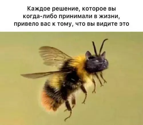 Смешная картинка №786507