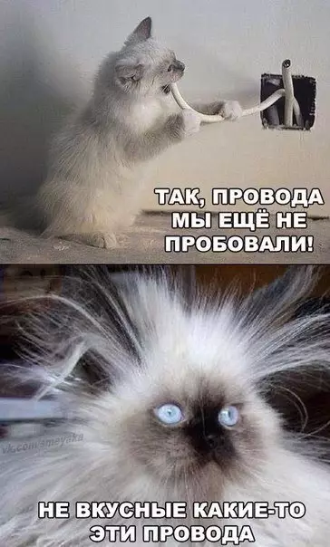 Смешная картинка №307570