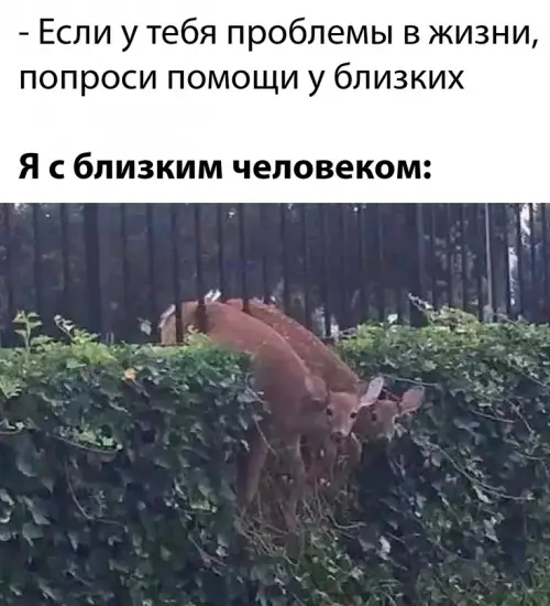Смешная картинка №667589