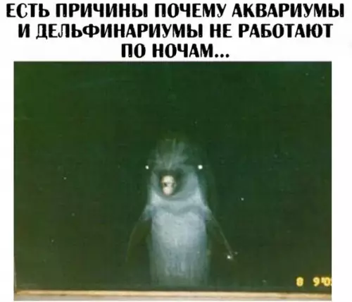 Смешная картинка №198016