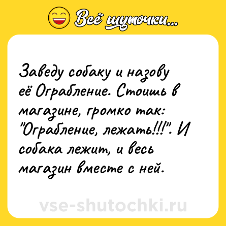 Шутка: Заведу собаку и назову её Ограбление. Стоишь в магазине, громко так: 
