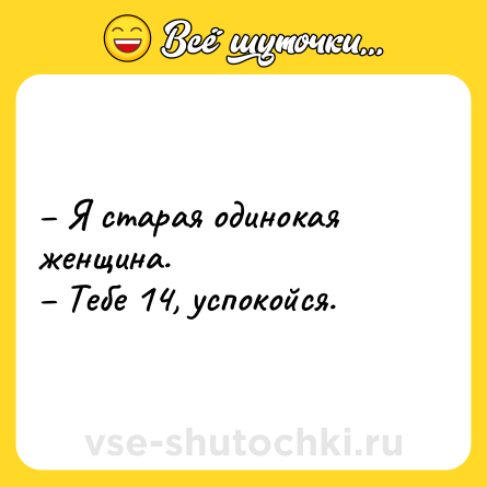 Шутка: – Я старая одинокая женщина. <br>– Тебе 14, успокойся.