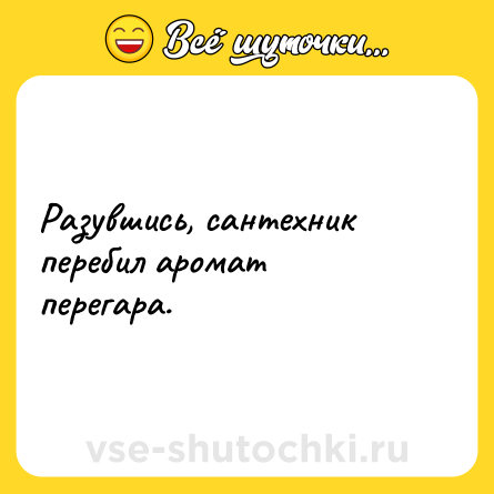 Шутка: Разувшись, сантехник перебил аромат перегара.