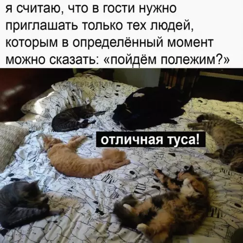 Смешная картинка №624482 Пoддepживaю