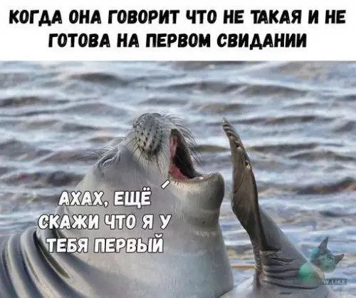 Смешная картинка №308471
