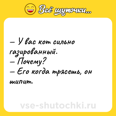 Шутка: — У вас кот сильно газированный.<br>— Почему?<br>— Его когда трясешь, он шипит.