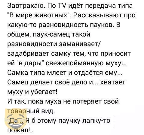Смешная картинка №404842 #приколы #картинки #мемы ?