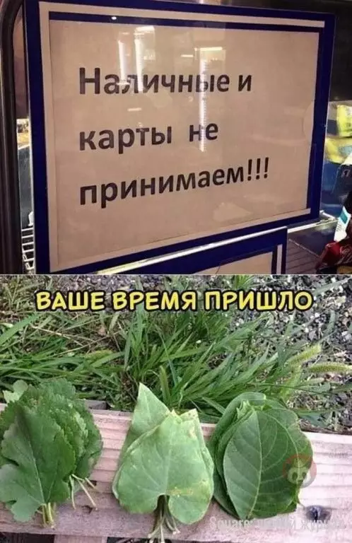 Смешная картинка №604860 Деньгами из Монополии тоже можно же!