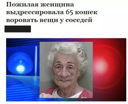 Смешная картинка №272776 — Кем ты видишь себя в старости?
—