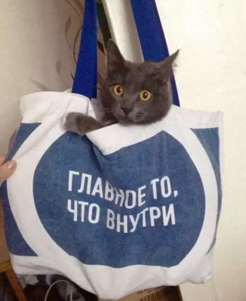 Смешная картинка №775942