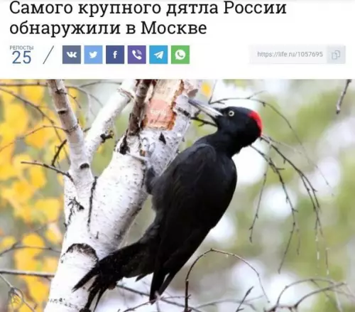 Смешная картинка №220079 Кажется, это мой сосед...