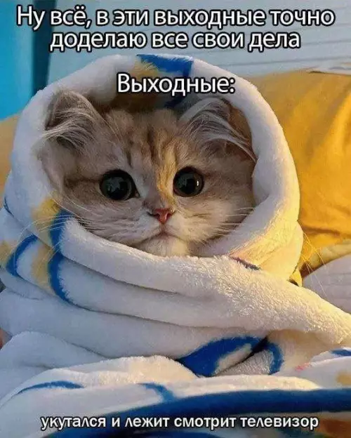 Планы на выходные vs Реальность 🛌 - Ну всё, в эти выходные точно доделаю все свои дела.