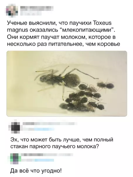 Смешная картинка №316743