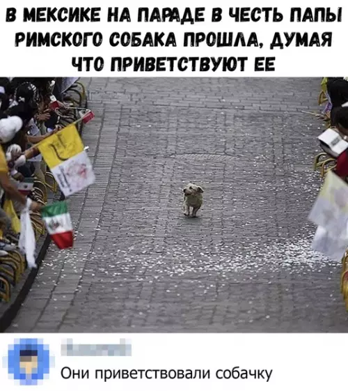 Смешная картинка №367309