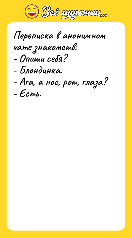 Переписка в анонимном чате знакомств: - Опиши себя? - Блондинка.