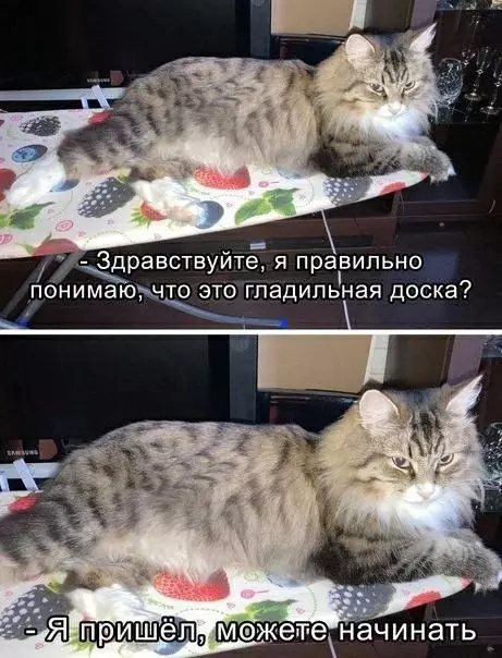 Смешная картинка №656673