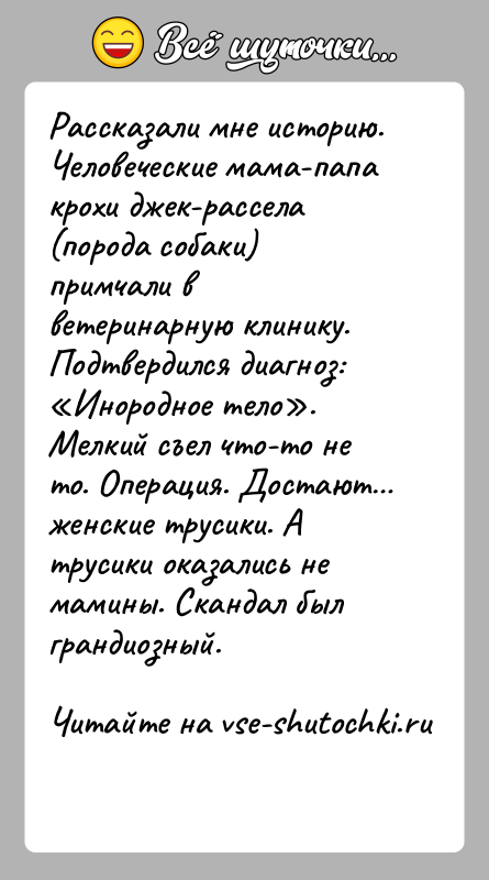 История: Рассказали мне историю. Человеческие мама-папа крохи джек-рассела (порода собаки) примчали в ветеринарную клинику. Подтвердился диагноз: Инородное тело . Мелкий съел что-то
