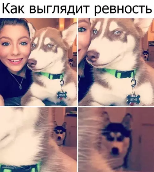 Смешная картинка №274342