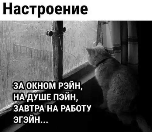 Смешная картинка №657608
