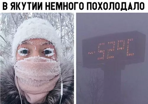 Смешная картинка №321382 зима