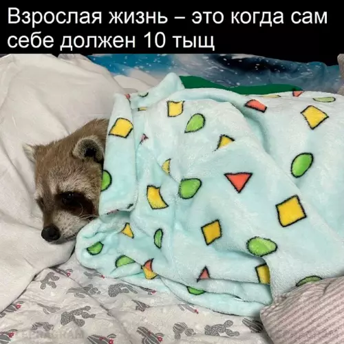 Смешная картинка №687682