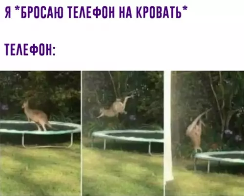 Смешная картинка №631470